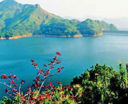 泸县明天天气